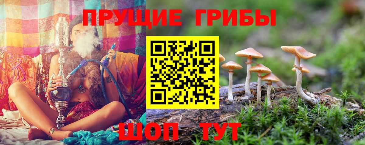 Галлюциногенные грибы GOLDEN TEACHER  купить   Салават  Вход с VPN 