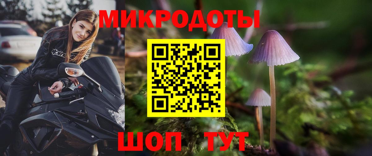 Галлюциногенные грибы мухоморы Салават
